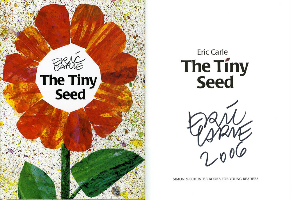 black oil sun flower seeds Black Oil Sunflowers